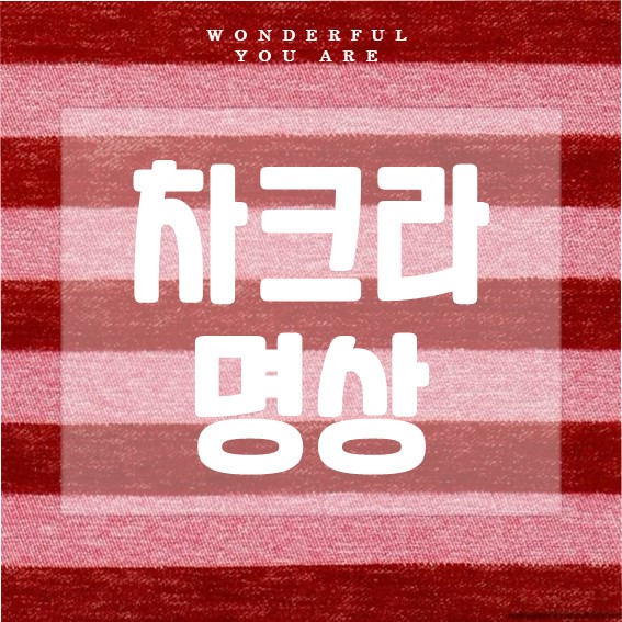 차크라 명상 완벽 가이드: 심신 치유와 에너지 균형