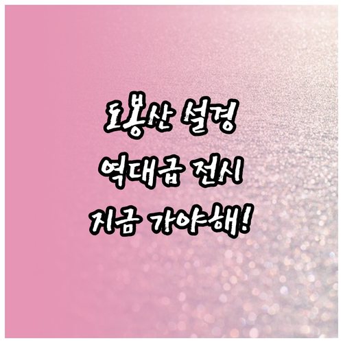 도봉산 설경과 예술 전시를 동시에 즐..