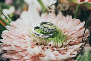 돌반지 1돈 가격