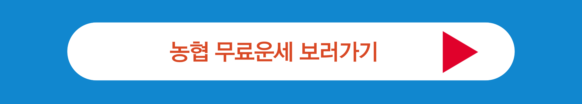 농협 무료운세 보러가기