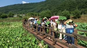 여름휴가 국내여행지 베스트 10