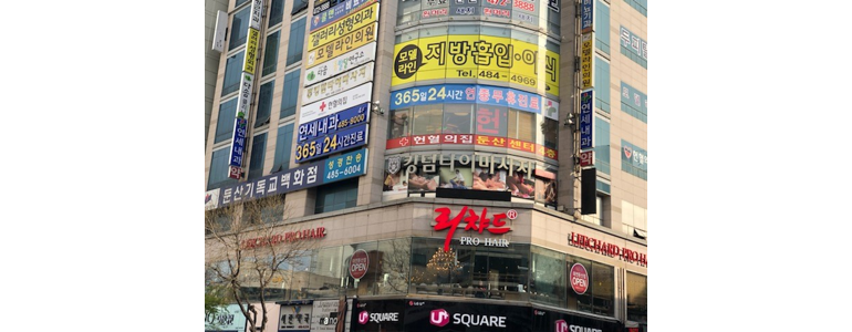 대전 서구 내과