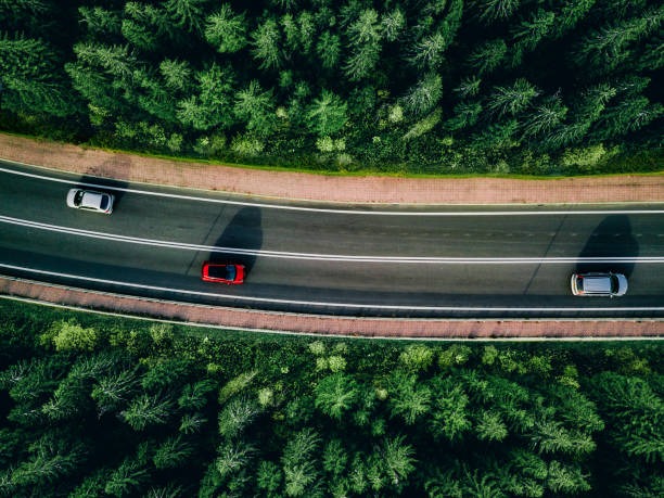 815-특사-벌점-삭제-감면-대상자