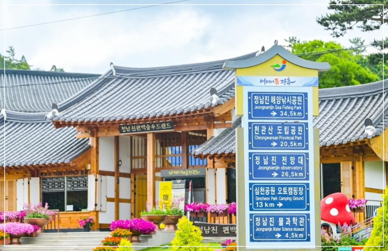 장흥 가볼만한곳 베스트10 정남진 편백숲 우드랜드