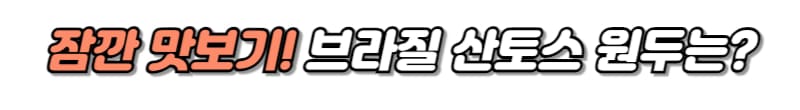 브라질 산토스