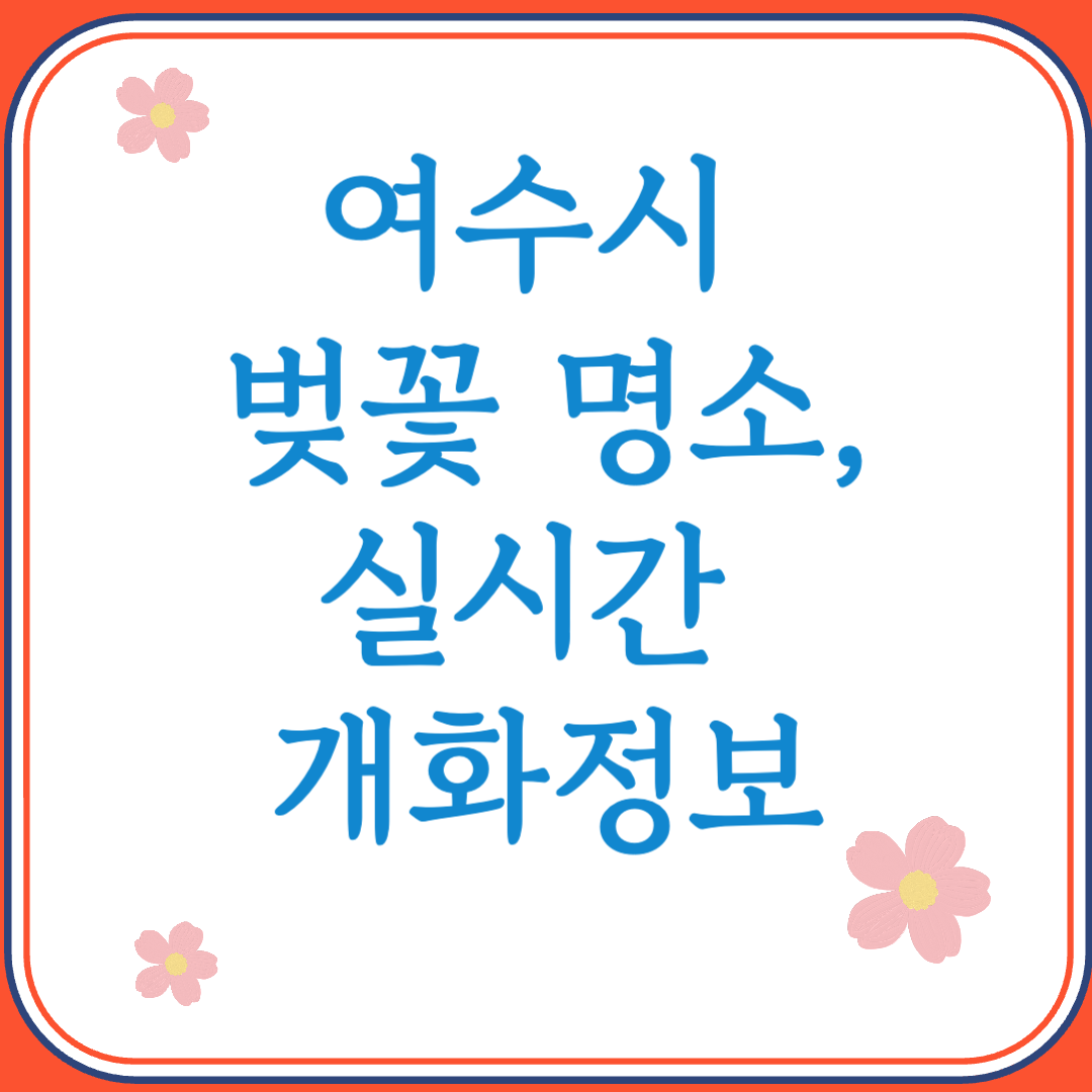 2025년 여수시 벚꽃 명소 실시간 개화정보