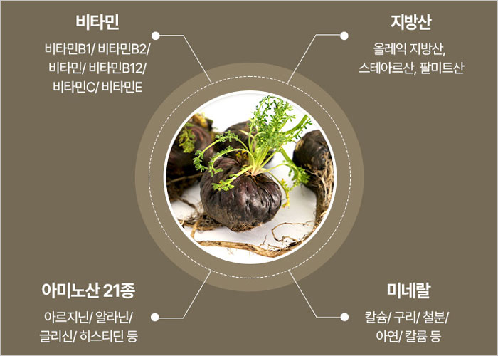 광동 블랙마카 365 가격&amp;#44; 효능&amp;#44; 후기