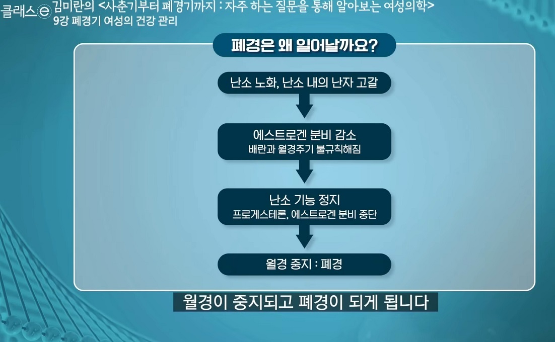 EBS-명의-자궁-김미란-교수