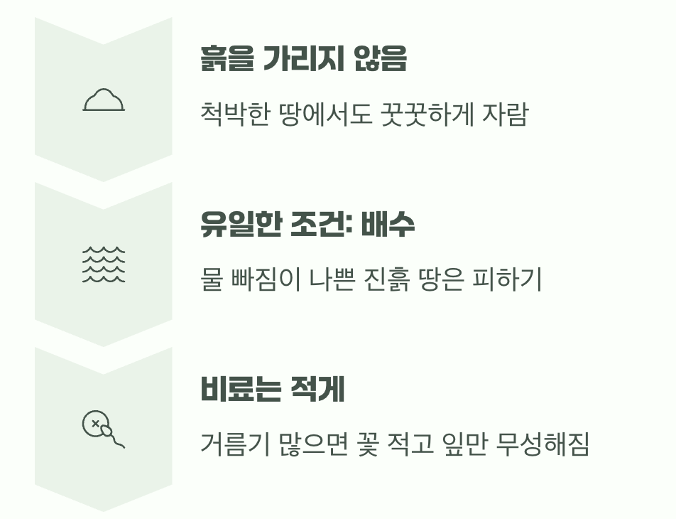 가리지 않는 착한 성격, 토양 조건