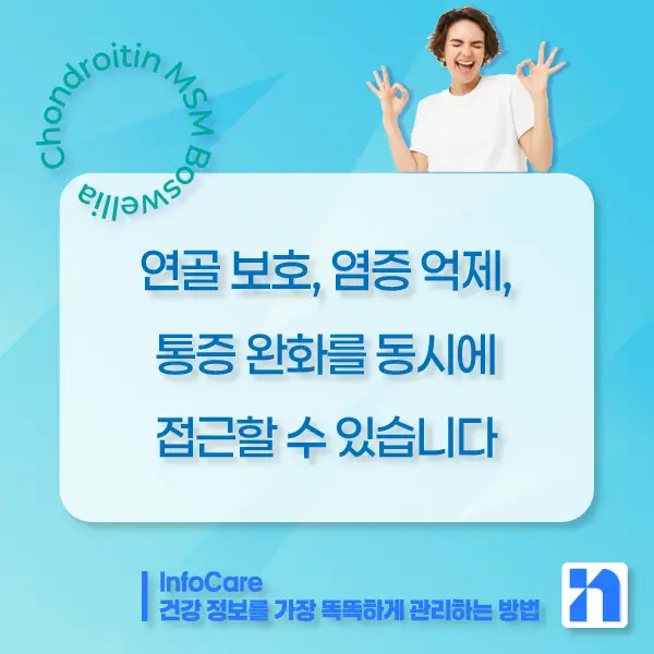 콘드로이친, MSM, 보스웰리아 조합 효능