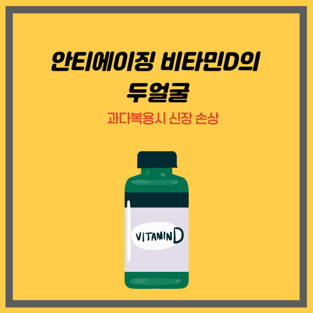 안티에이징 비타민D의 두얼굴｜과다복용시 신장 손상