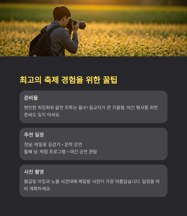 최고의 축제 경험을 위한 꿀팁