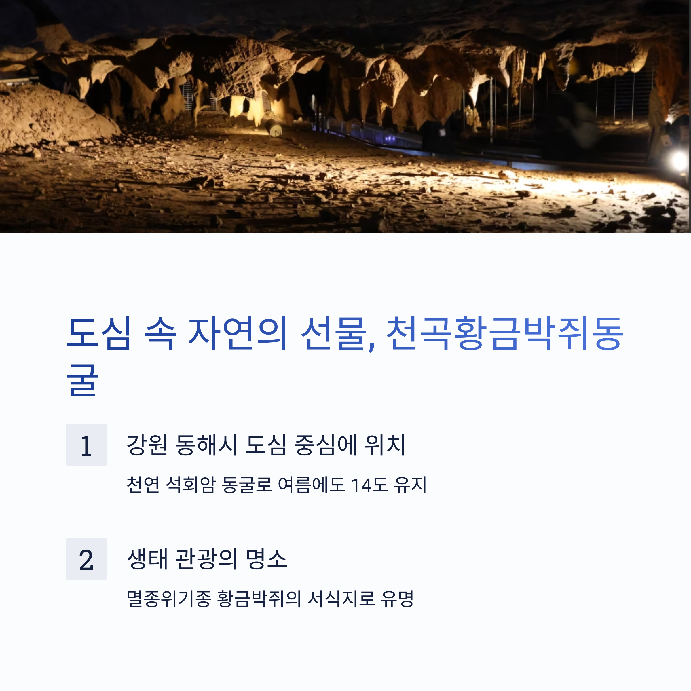도심 속 자연의 선물, 천곡황금박쥐동굴