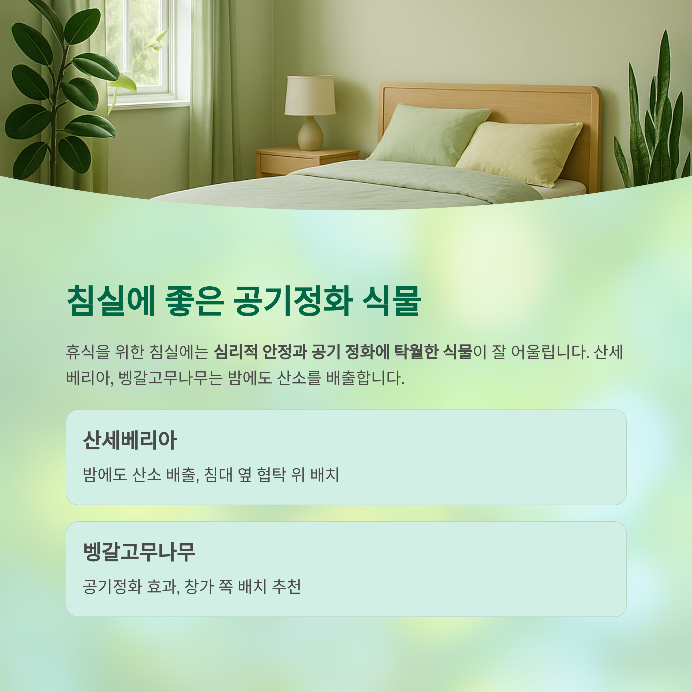 침실에 좋은 공기정화 식물