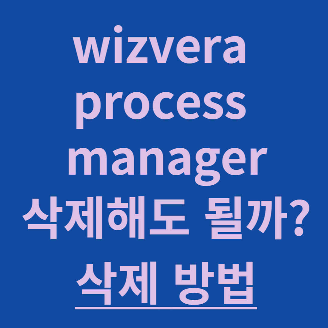 wizvera process manager