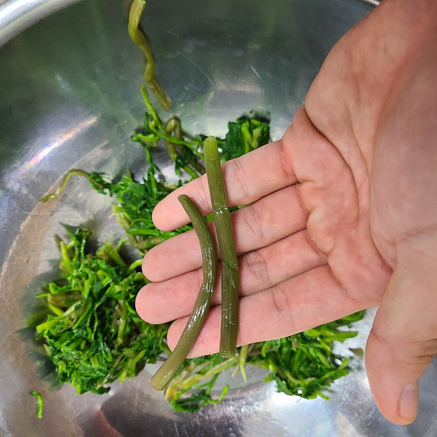 저녁반찬 집밥 메뉴 추천 집밥 메뉴 저녁 집밥 집반찬메뉴 일주일 반찬 만들기 집밥 반찬 집밥 반찬 배달 소고기가지볶음 레시피 집밥반찬 얼갈이배추된장무침 조물조물 무쳐 맛있는 집밥반찬 매콤감자조림만드는법 집밥반찬 감자요리 우엉땅콩조림 간단한 집밥 반찬 밴쿠버 집밥 반찬 집밥 백선생3 당면찌개 따뜻한 저녁반찬 안성 집밥 반찬 옥이네 집밥 반찬 엄니 반찬&집밥 반찬엔드집밥 언니집밥반찬 집밥시골반찬식당 남도집밥반찬 집밥반찬 밴쿠버 집밥반찬 추천 집밥 반찬 레시피