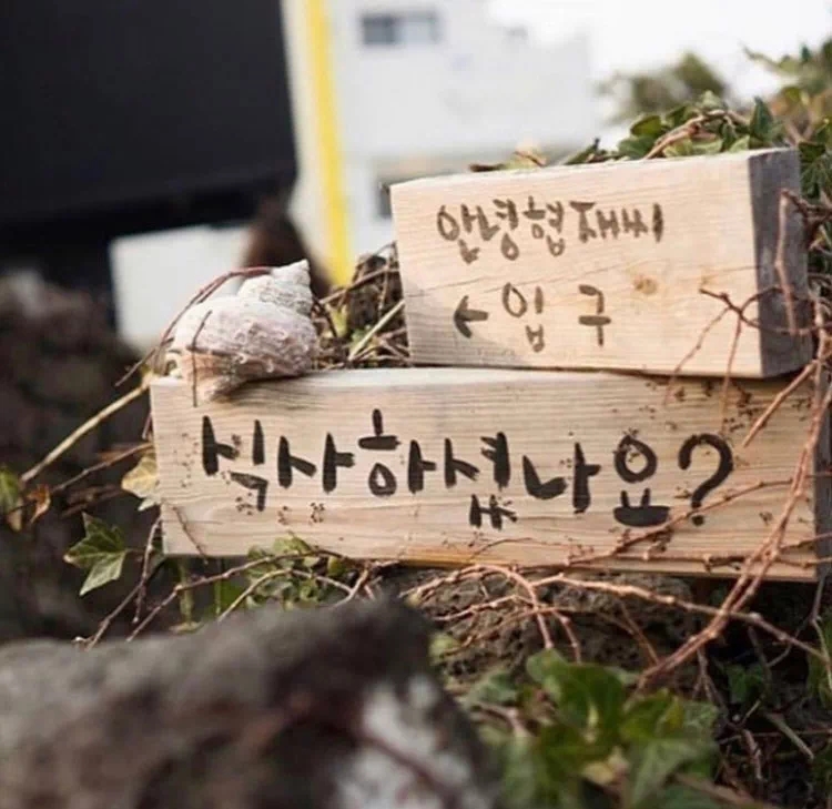 제주 협재 해물비빔밥 '안녕협재씨'