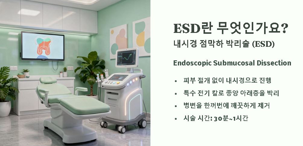 위 선종 제거수술, 과정 기간 총정리