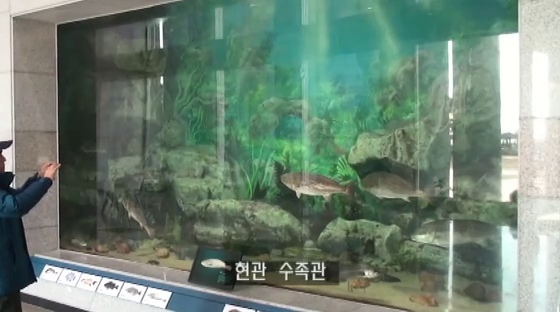 물고기가 있는 실내 수족관