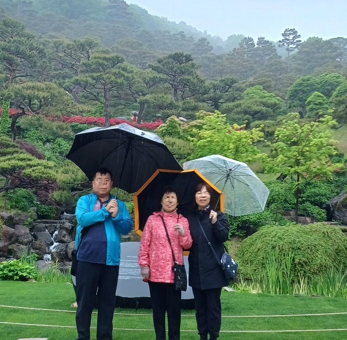 화담숲-벚꽃-주차-7