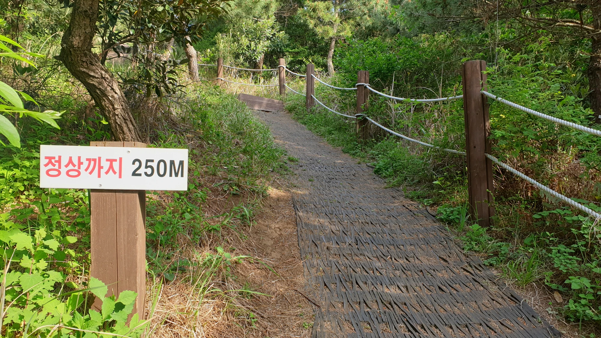 지미오름 정상 가는 길