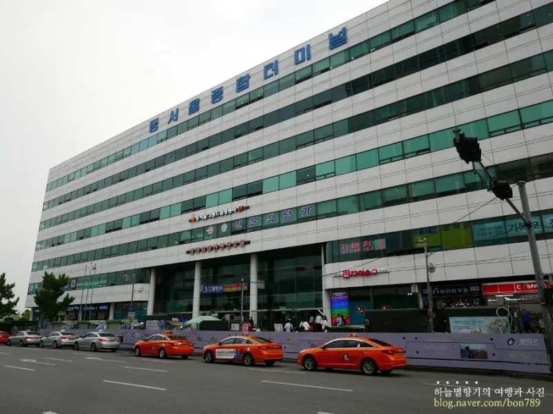 동서울터미널 포장마차 거리 맛집 식당 정리_2