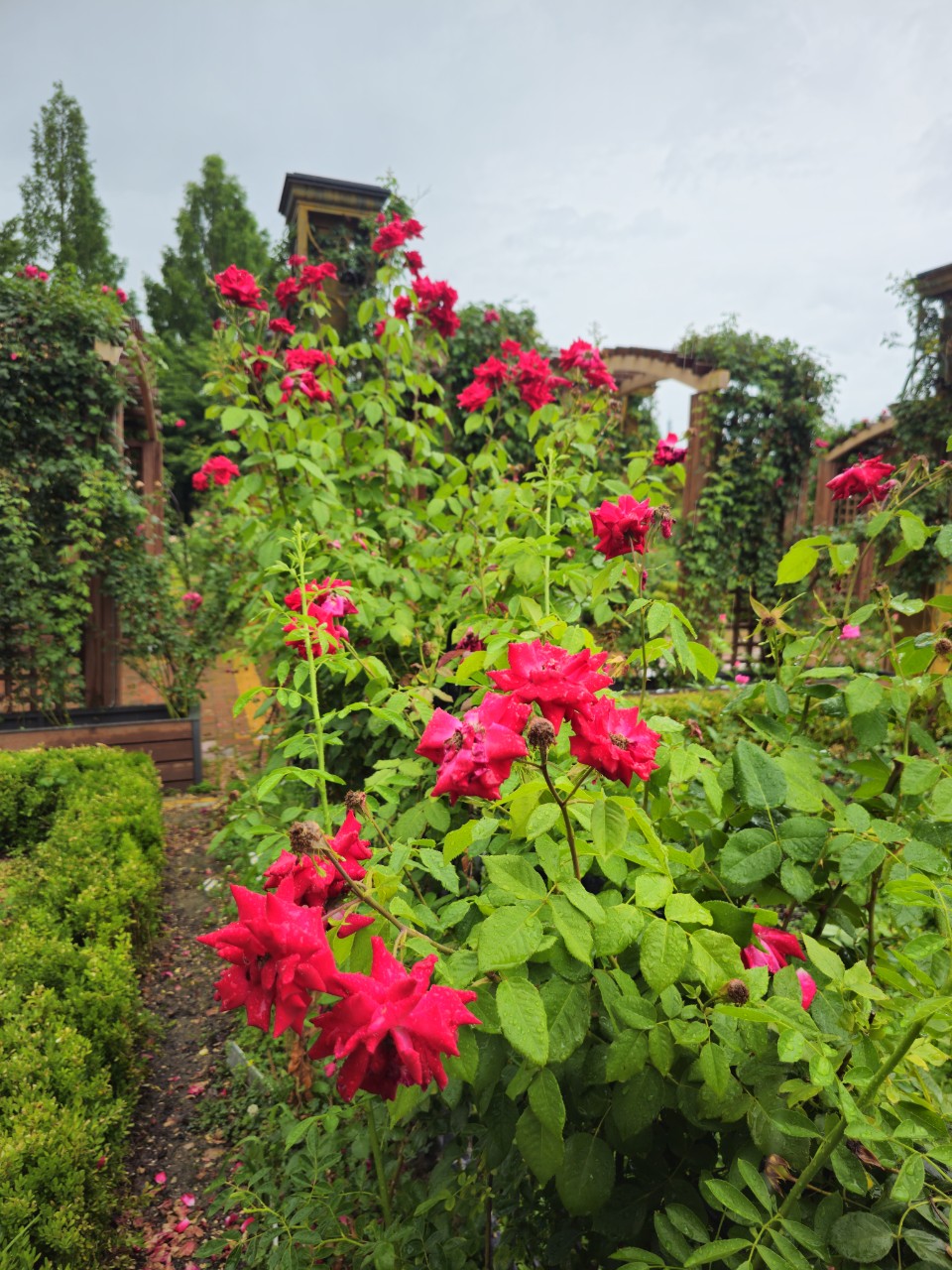 장애인 주거복지 현황