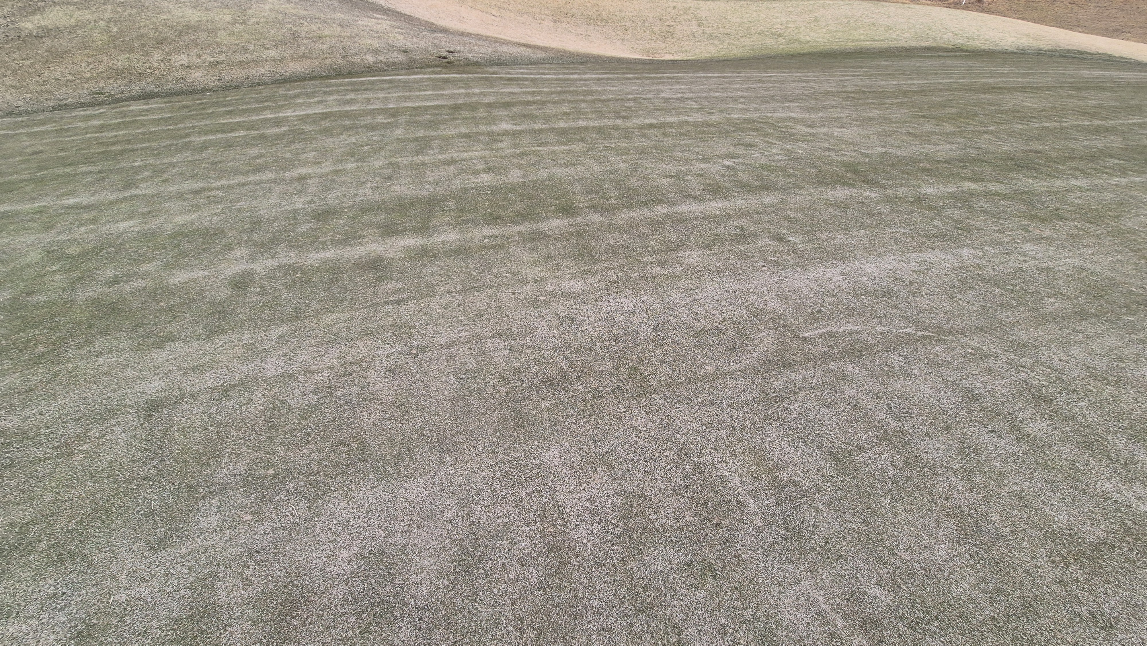 세현cc 그린 관리 상태