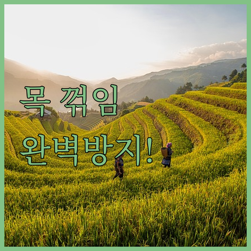 비행기 기차 여행용 낮잠 베개 추천 ..