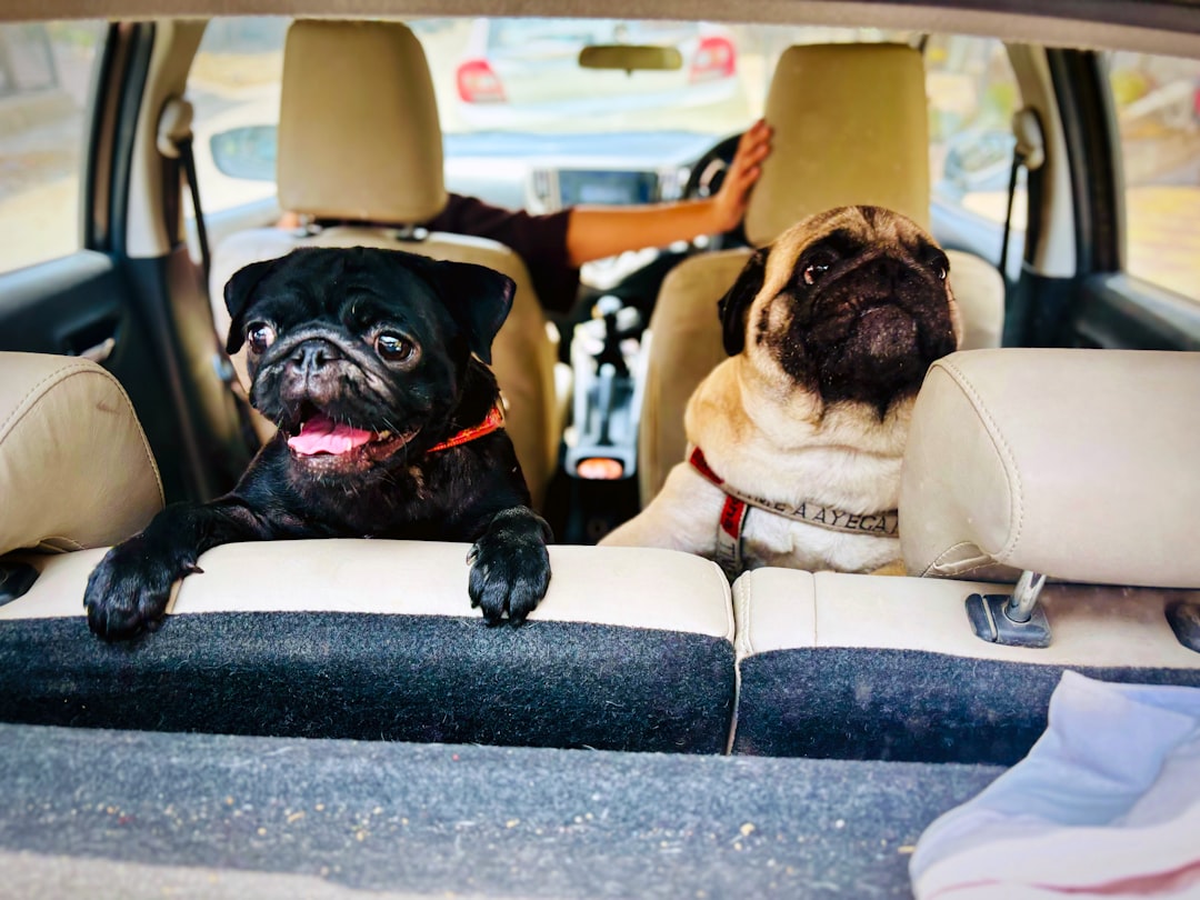 Car seat