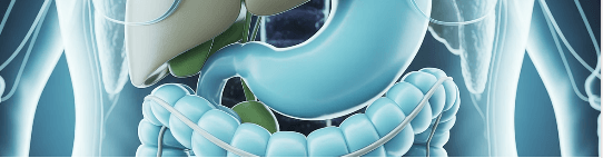 결명자차 효능 부작용 섭취량 알아보기