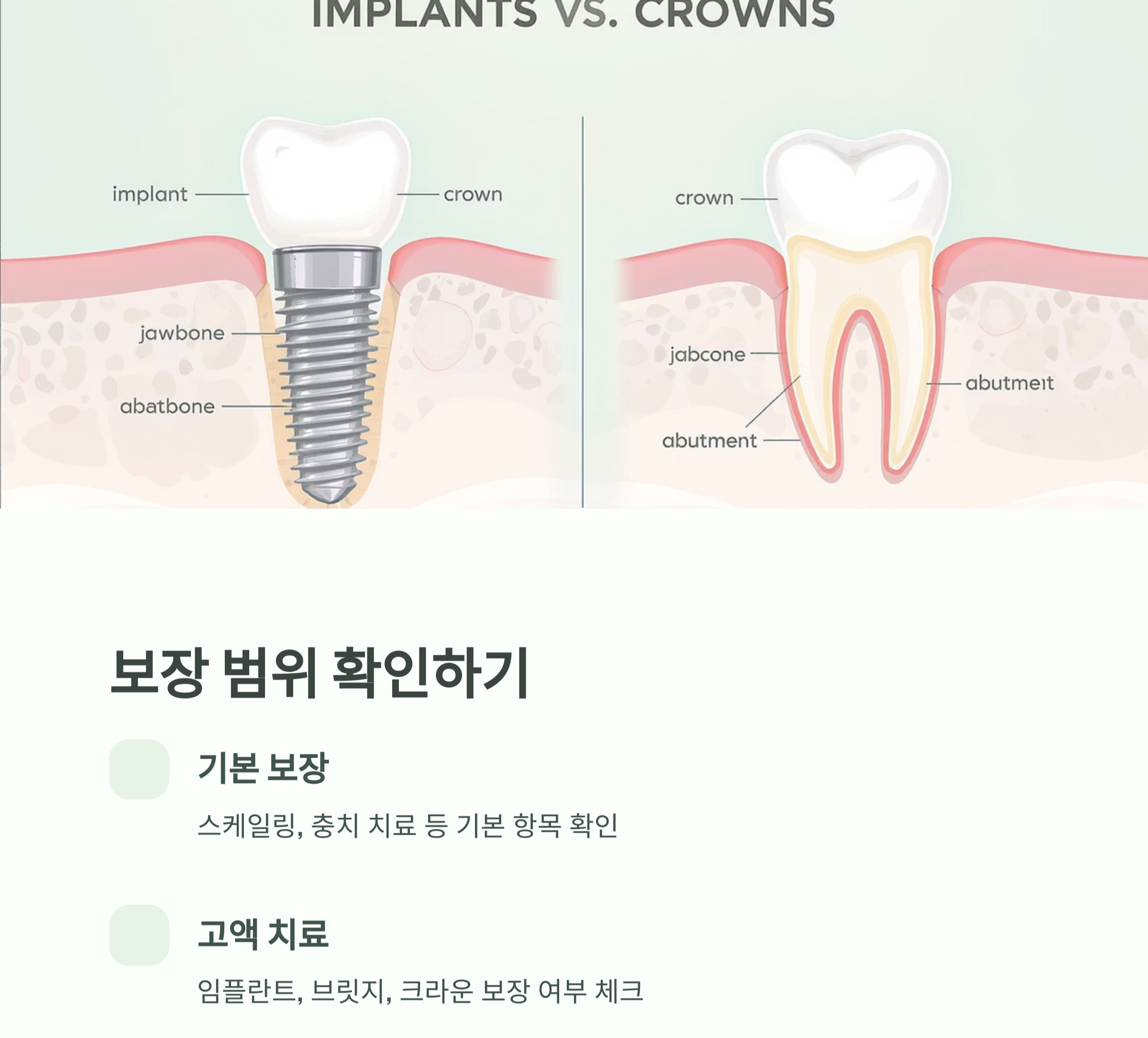 치아보험 가입 전 꼭 비교해야 할 핵심 요소들