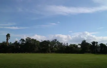 명월초등학교 운동장 - 초록색 잔디위 빼곡한 나무들