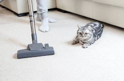 청소기를 돌리는 사람 옆에 있는 고양이.