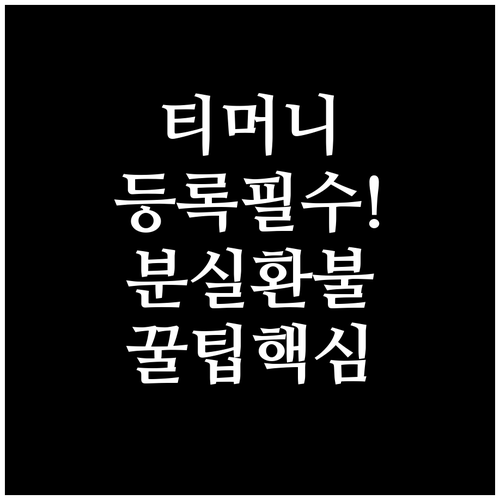 티머니 카드 등록 방법과 분실 시 잔..