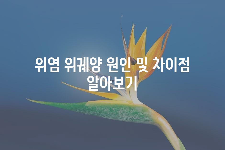 샘플 (45)