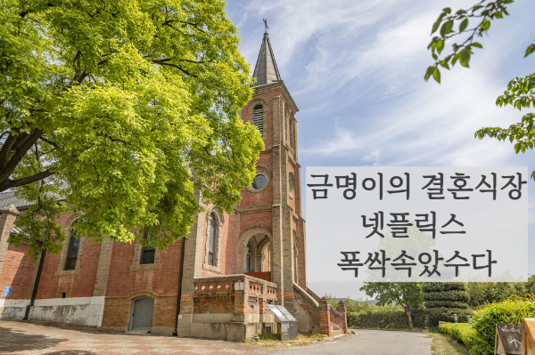 금명이 아이유 결혼식장 성당