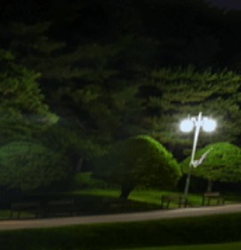 밤의산책