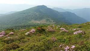 천황산 &amp; 재약산 등산코스 추천 및 지도