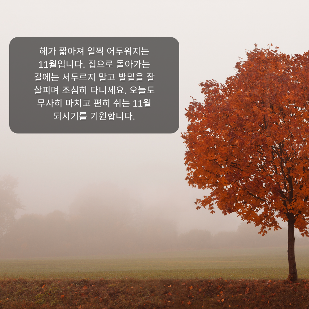 11월 인사말 5 해가 짧아진 11월 퇴근길 인사말 이미지