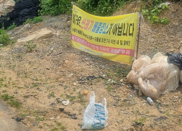 태안해수욕장에 버려진 '탯줄 달린 강아지 6마리'