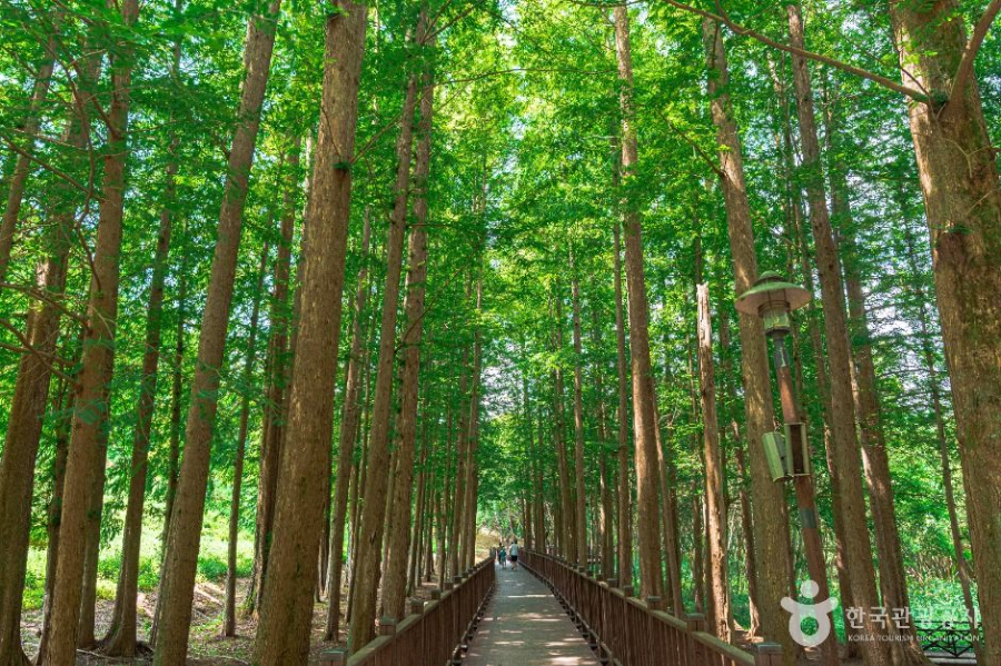 광주 가볼만한 곳
