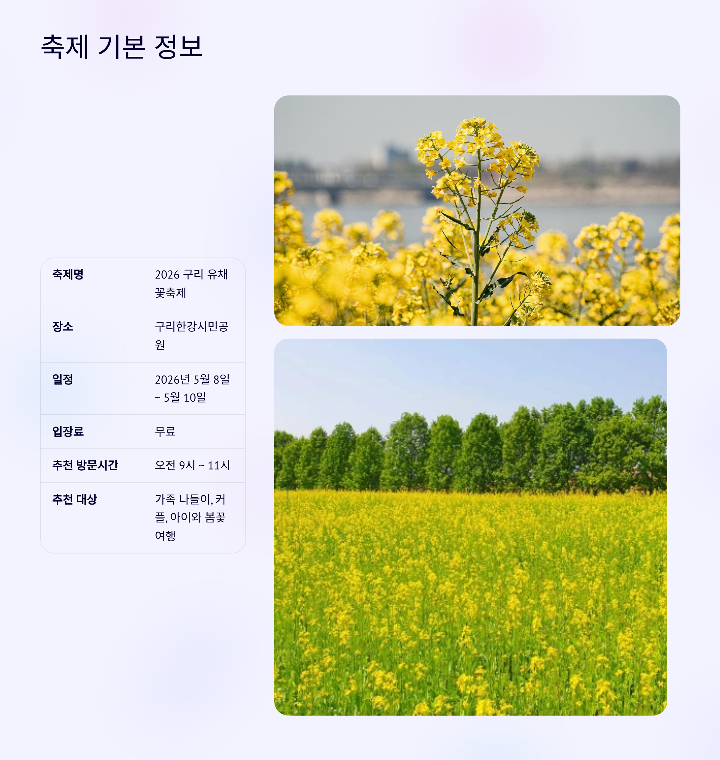 구리 유채꽃축제 기본정보