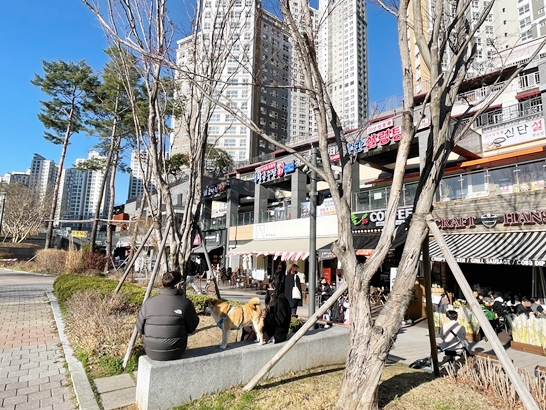 광교호수공원-중형견