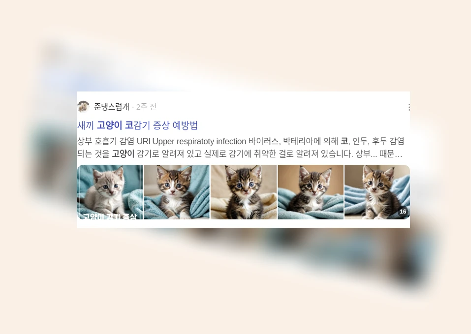고양이 코 건강_2_subsection
