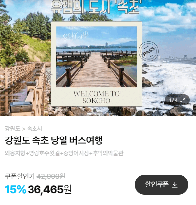 가을단풍 단풍버스 당일여행