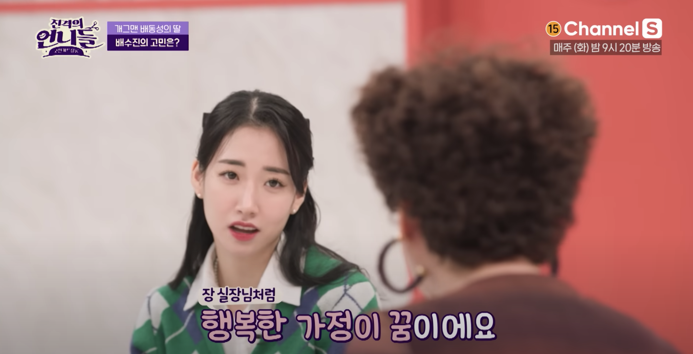 배수진 악플