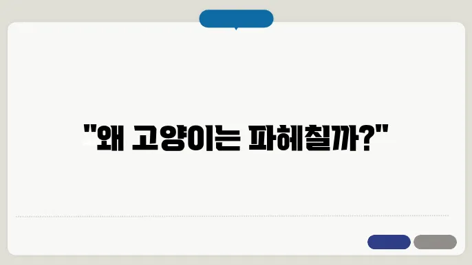 고양이가 화장실 모래를 파헤치는 이유 & 해결법 모든 고양이 주인 필독