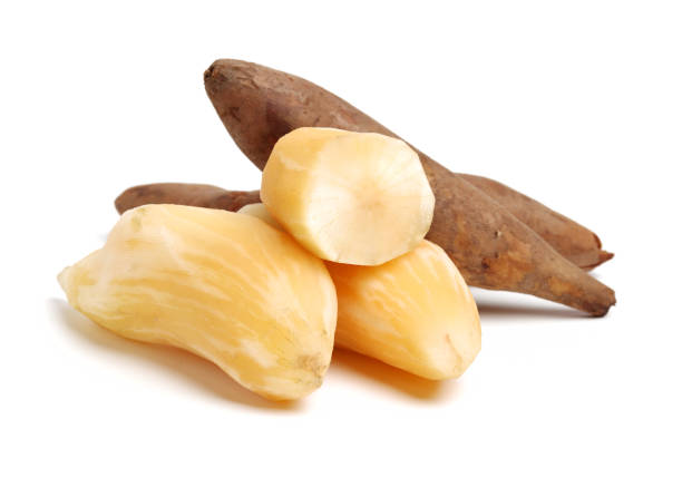 야콘 효능 10가지와 부작용 및 먹는법 및 보관법