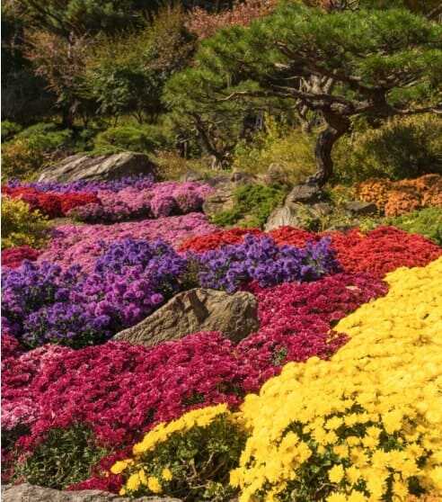 2025 화담숲 봄 수선화 축제